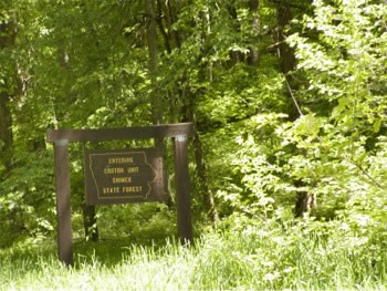 Shimek Forest BCA