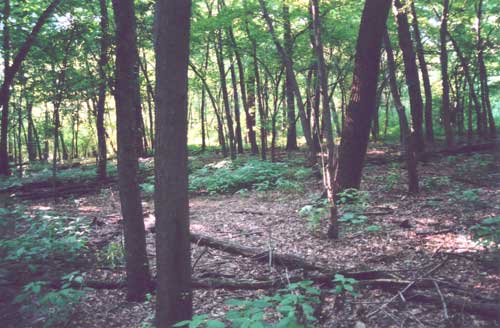 Toolesboro Access/Odessa